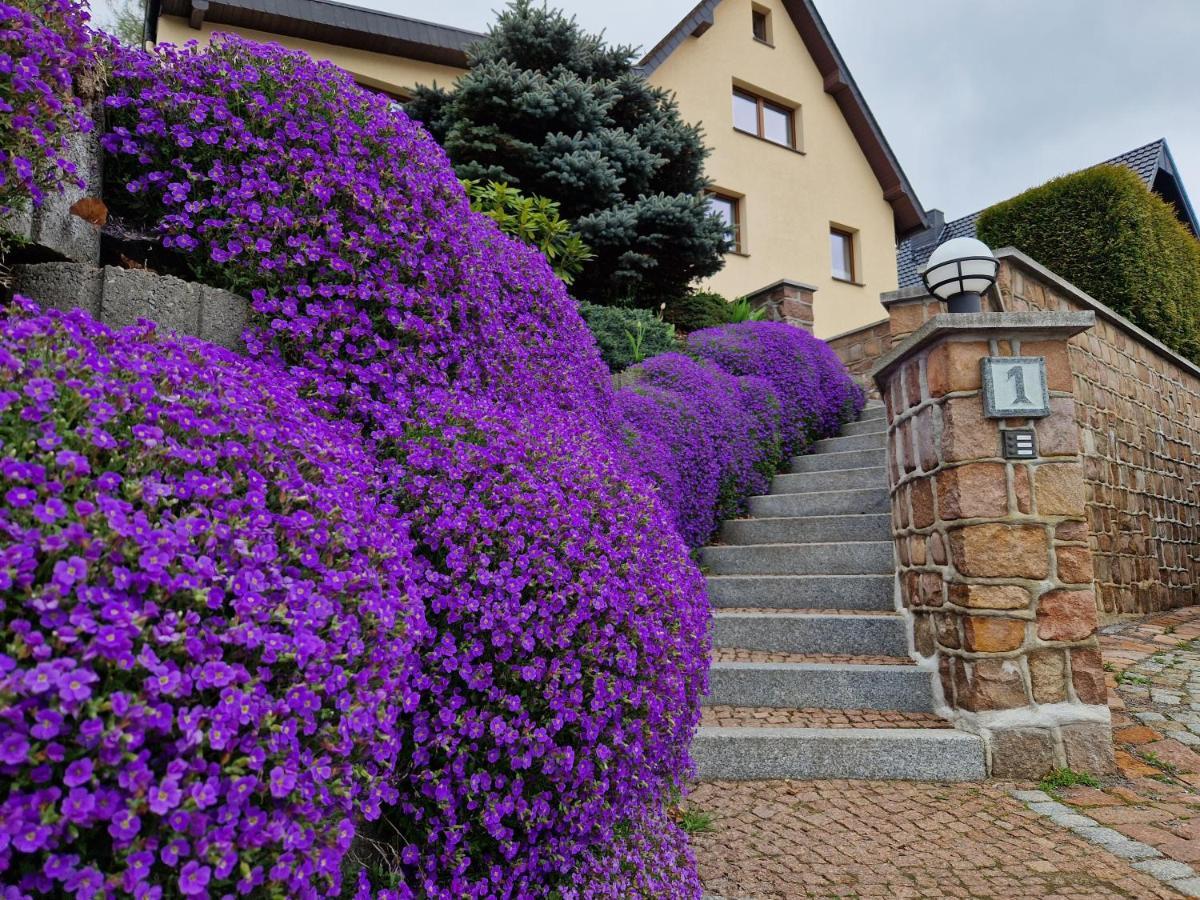 Ferienwohnung Hans Im Glueck Olbernhau Eksteriør billede